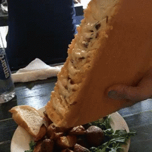 1694998131607.gif
