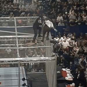 undertaker-mankind.gif
