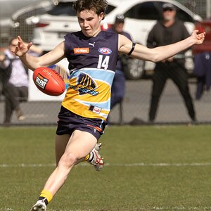Tom Evans 1.jpg