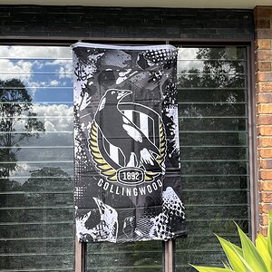 Collingwood.jpg