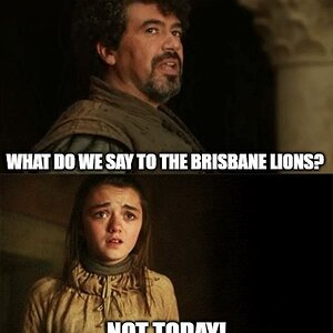 brisbane lions not today.jpg
