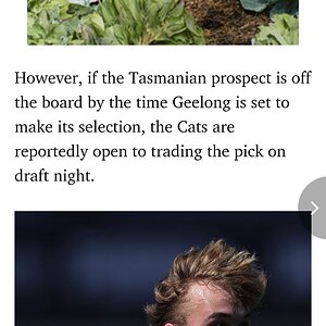 Screenshot_20231011_201359_Samsung Internet.jpg