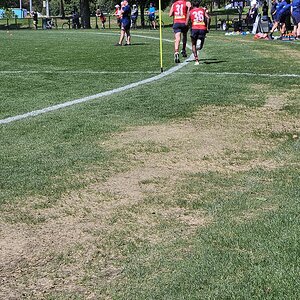 20231204_104414.jpg