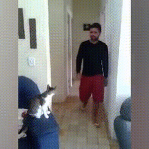 1704534715910.gif