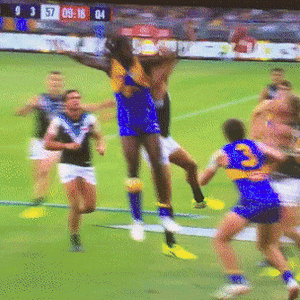 492078_528d79861a70fa72e0dad457d19cf50f.gif