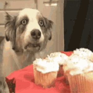 vietdog-cupcakes.gif