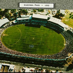 Kardinia-Park-1933.jpg