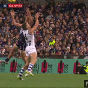 suban 1.gif
