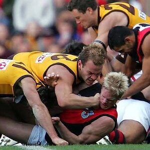 images - 2024-03-16T115220.872.jpeg