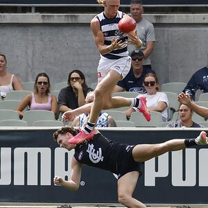 Ollie Dempsey (MOW vs carlton).jpg