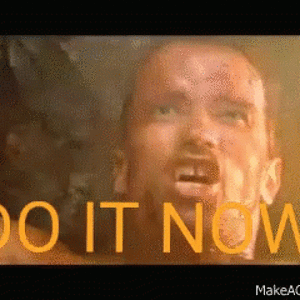 Media 'arnold-schwarzenegger-do-it-now.gif' in category 'West Coast Eagles'
