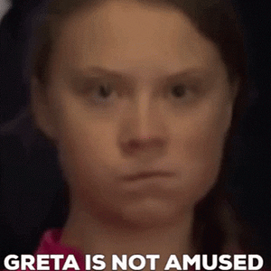 Greta Is Not Ammused.gif