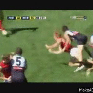 1711770559601.gif