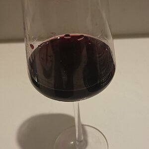 IMG_20240504_181219233.jpg