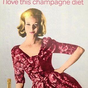 Champagne Diet.jpg