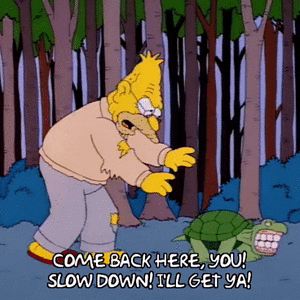 1716551919417.gif