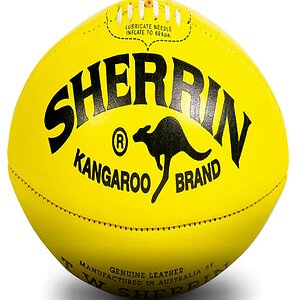SHERRIN 2026.jpg