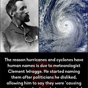 FB_IMG_1720615631257.jpg