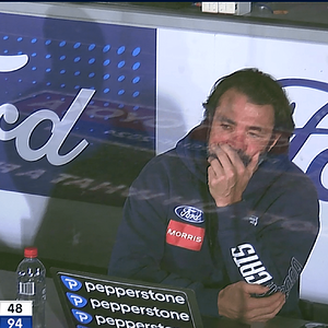 Screenshot 2024-07-24 at 11.41.55 am.png