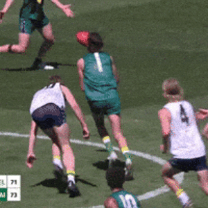 200.gif