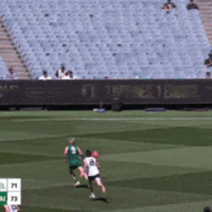 200.gif