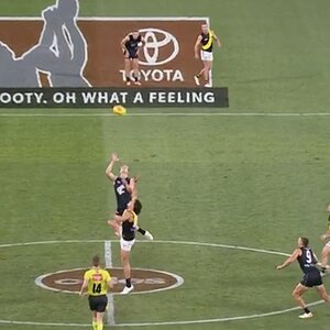 C74CA5EA-38F8-4F41-914B-34EA36E709D8.jpeg