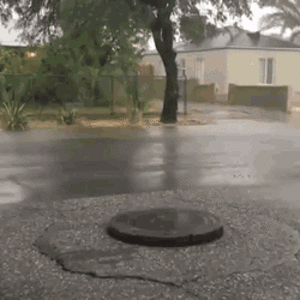 1648120047824.gif