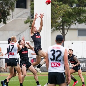 Darcy Cameron 1DX_4819.jpg