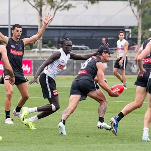 Lachie Schultz 1DX_4850.jpg