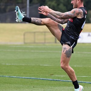 Tim Membrey 1DX_4886.jpg
