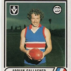 images - 2025-02-08T230429.188.jpeg