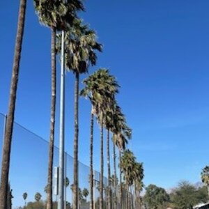 IMG_6292.jpeg