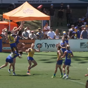 Screenshot 2025-02-22 150540.png