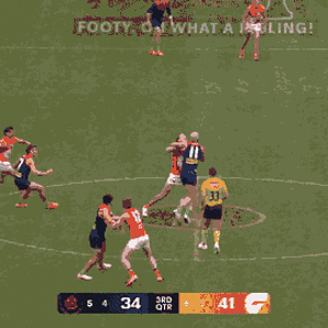 Windsor Goal.gif