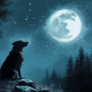 Moon Wolf.gif