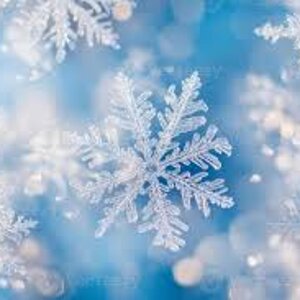 snowflake.jpeg