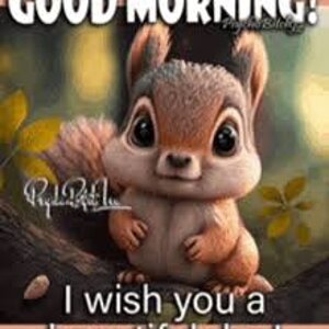 IMG_0074.jpeg