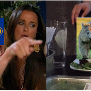 1743741053370.png