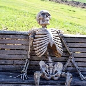 skeleton - on bench.jpg