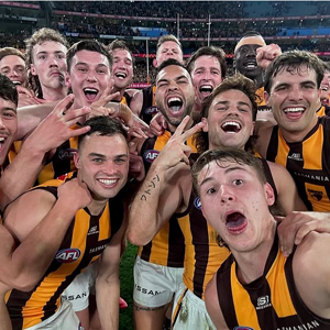 Screenshot 2025-04-13 at 22-35-32 Hawthorn Football Club (Hawks) on Instagram FINALS SELFIE gu...png
