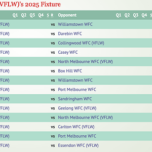 2025VFLW.png