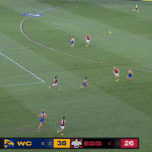 screen-20250419-1206202.gif
