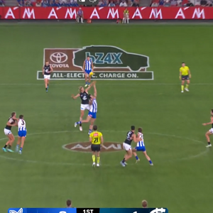 CBA1 - Pic 1.png