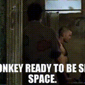 IMG_3926.gif