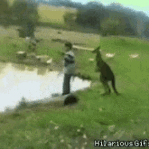 1745926873463.gif