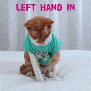 1745927720925.gif