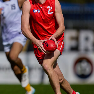 Henry Hayes 2.jpg