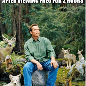 1746762093235.png