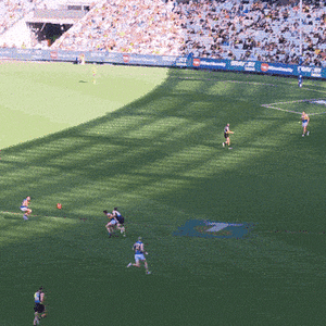 ezgif.com-optimize (3).gif