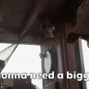 9tqgi8.gif